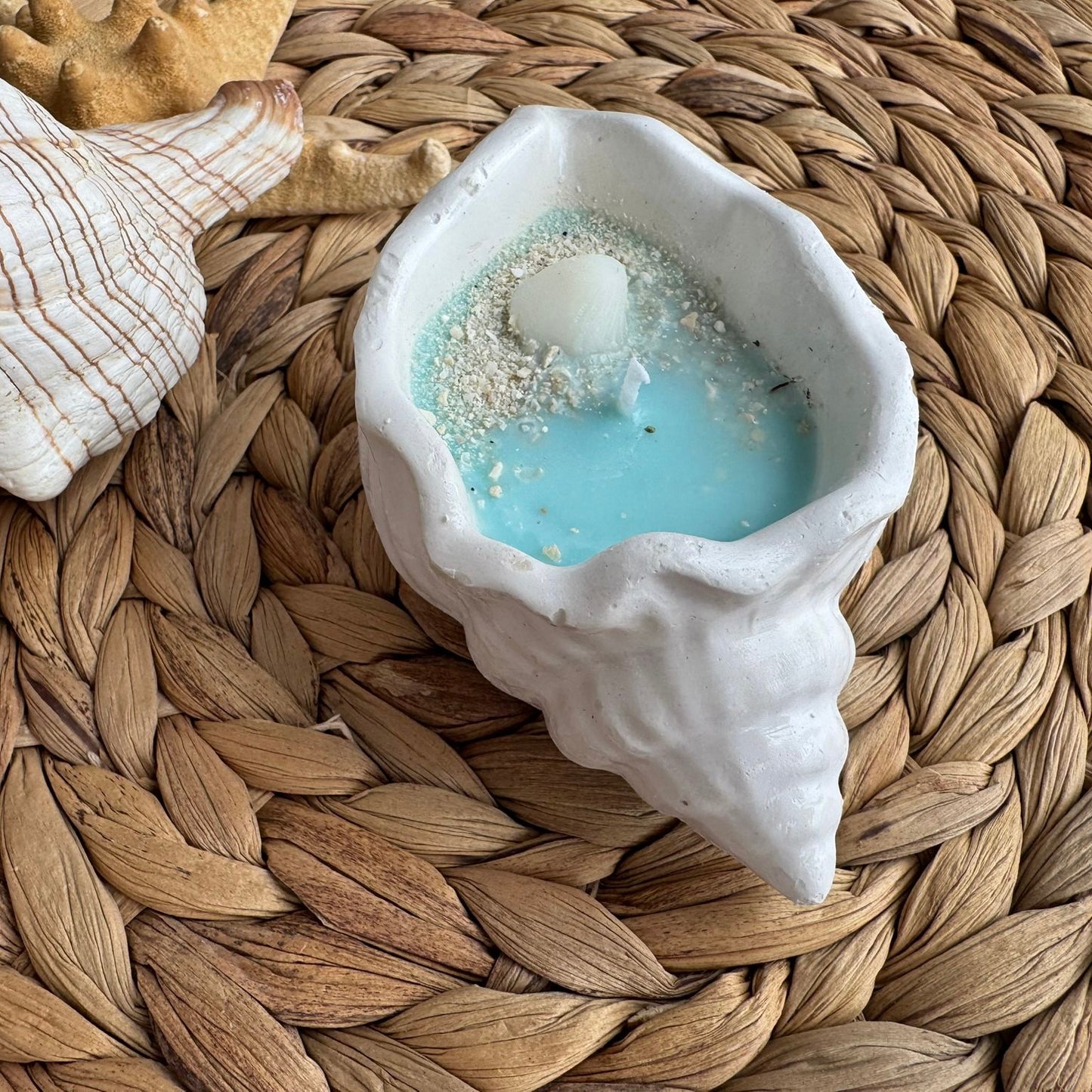 Vela aromática yeso caracola mar
