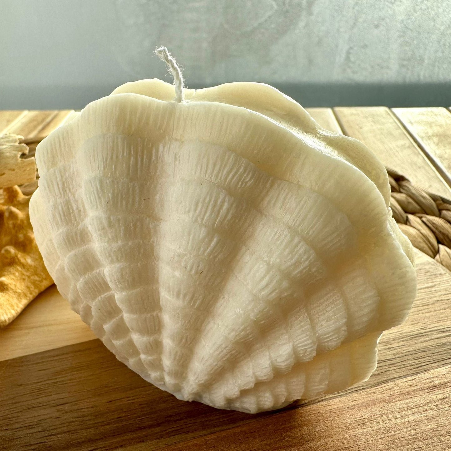 Vela decorativa concha mar L