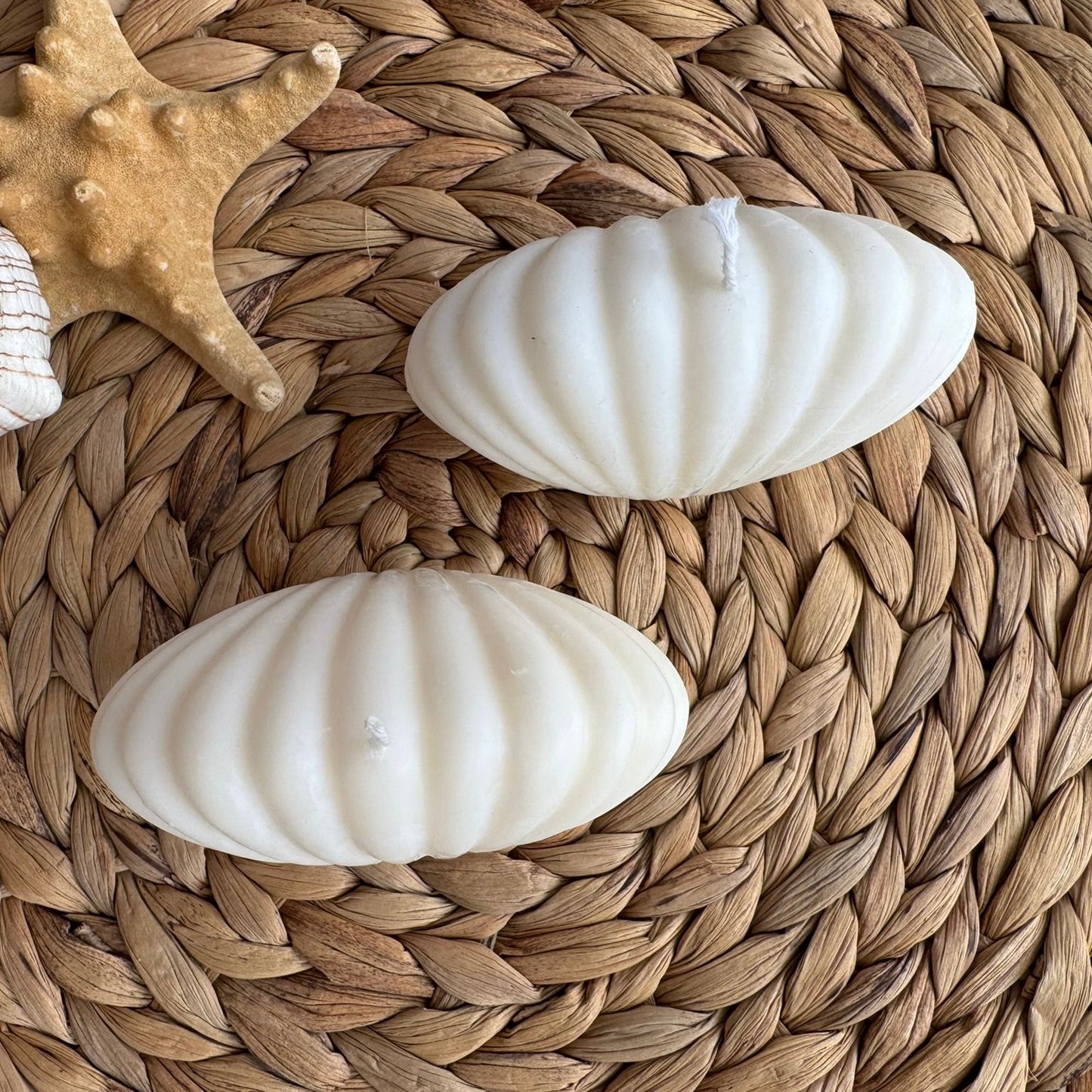 Vela decorativa concha mar S