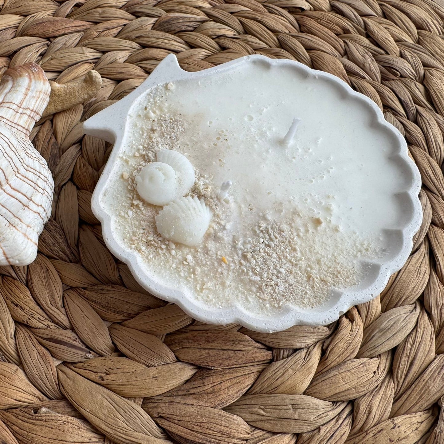 Vela aromática yeso concha mar