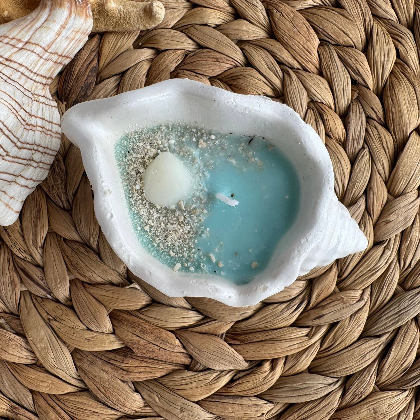 Vela aromática yeso caracola mar