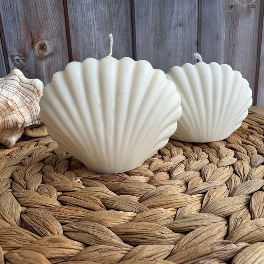 Vela decorativa concha mar S