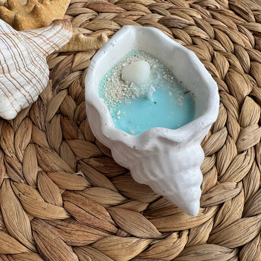 Vela aromática yeso caracola mar